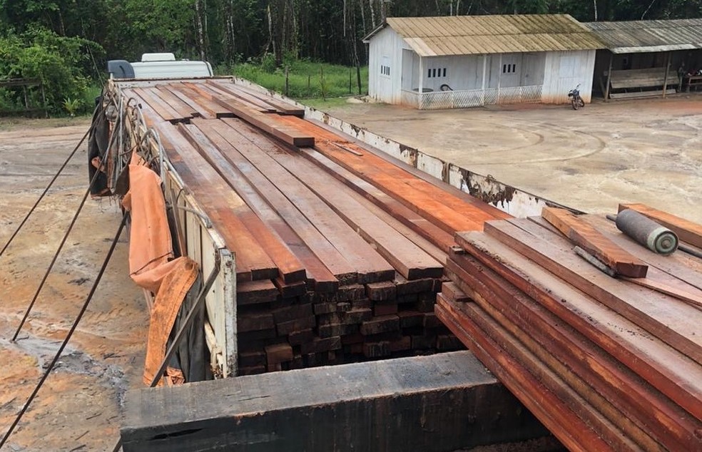 Homem é preso pela PF por armazenar madeira ilegal no Amapá, em caminhões que iriam para o Piauí — Foto: PF/Divulgação