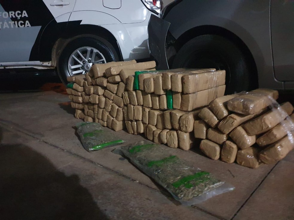 Tijolos de maconha foram apreendidos durante a abordagem  — Foto: Polícia Militar 