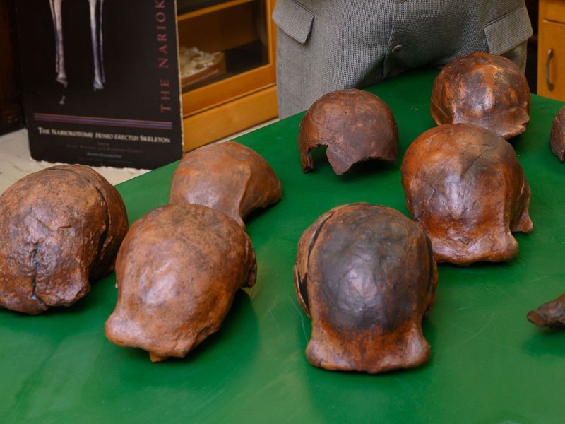Indonésia foi o último local ocupado pelo Homo erectus há 100 mil anos (Foto: Tim Schoon/University of Iowa)