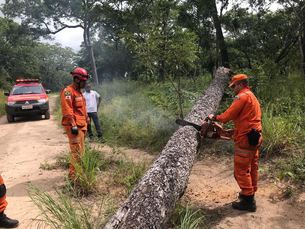Bombeiros de Minas Gerais ajudam na liberação de estradas em Moçambique, na África — Foto: Corpo de Bombeiros de MG/Divulgação