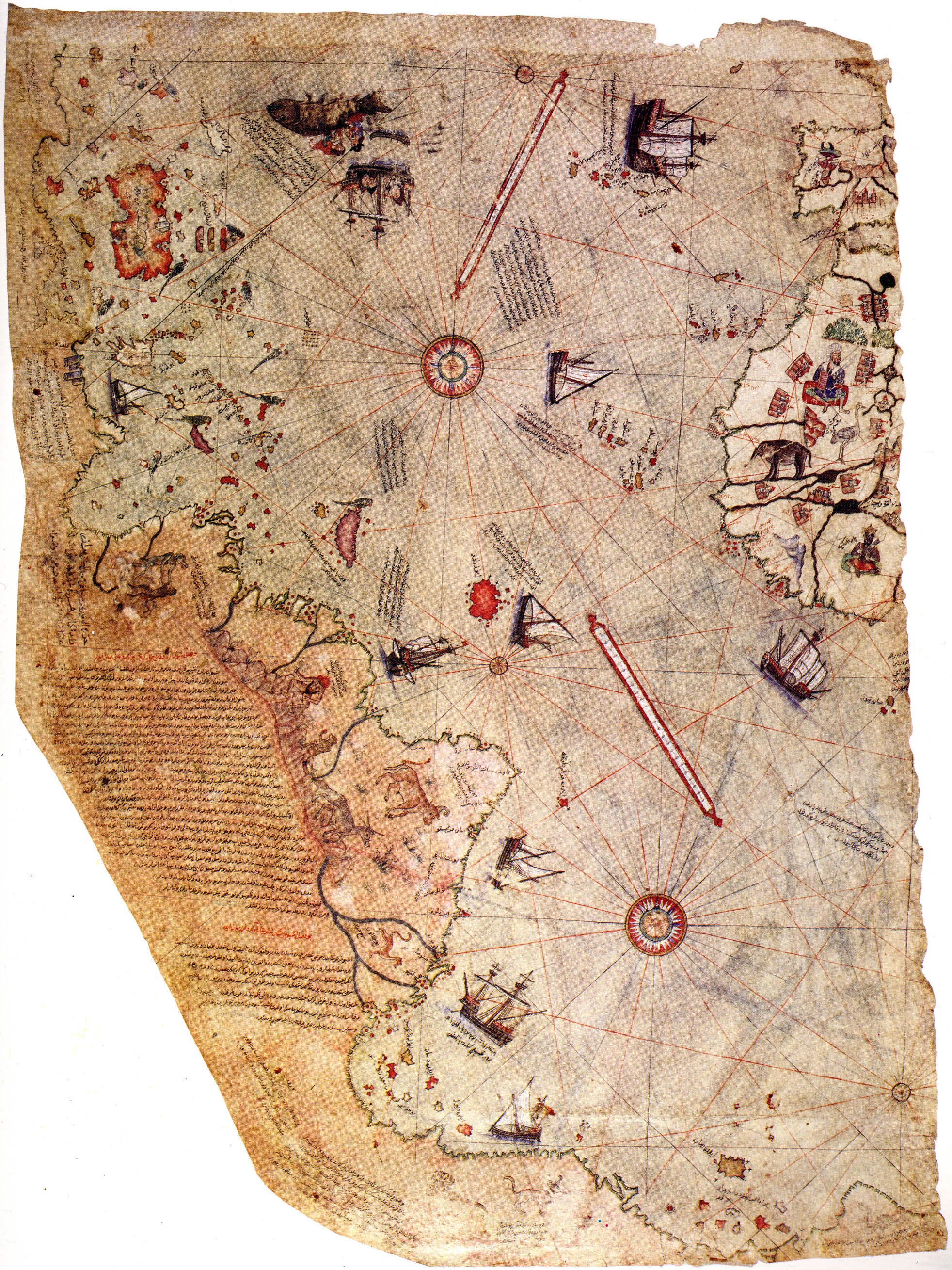 O fragmento remanescente do mapa de Piri Reis de 1513 (Foto: reprodução)