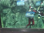 Papai Noel troca chaminé por aquário e encanta crianças em Santos, SP