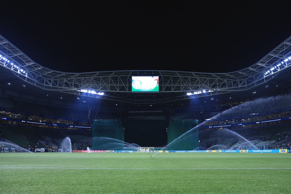 Palmeiras recebe pelo menos 30 mil torcedores por jogo em casa há quase um ano; veja números
