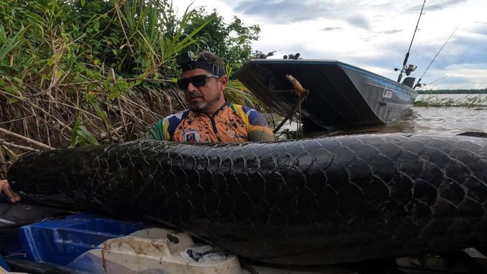 Wladis e o pirarucu de mais de dois metros capturado no rio Madeira — Foto: Redes Sociais/Reprodução