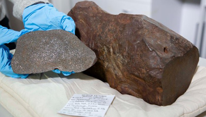 O meteorito foi confundido com ouro pelo homem que o descobriu (Foto: Divulgação/Melbourne Museum)
