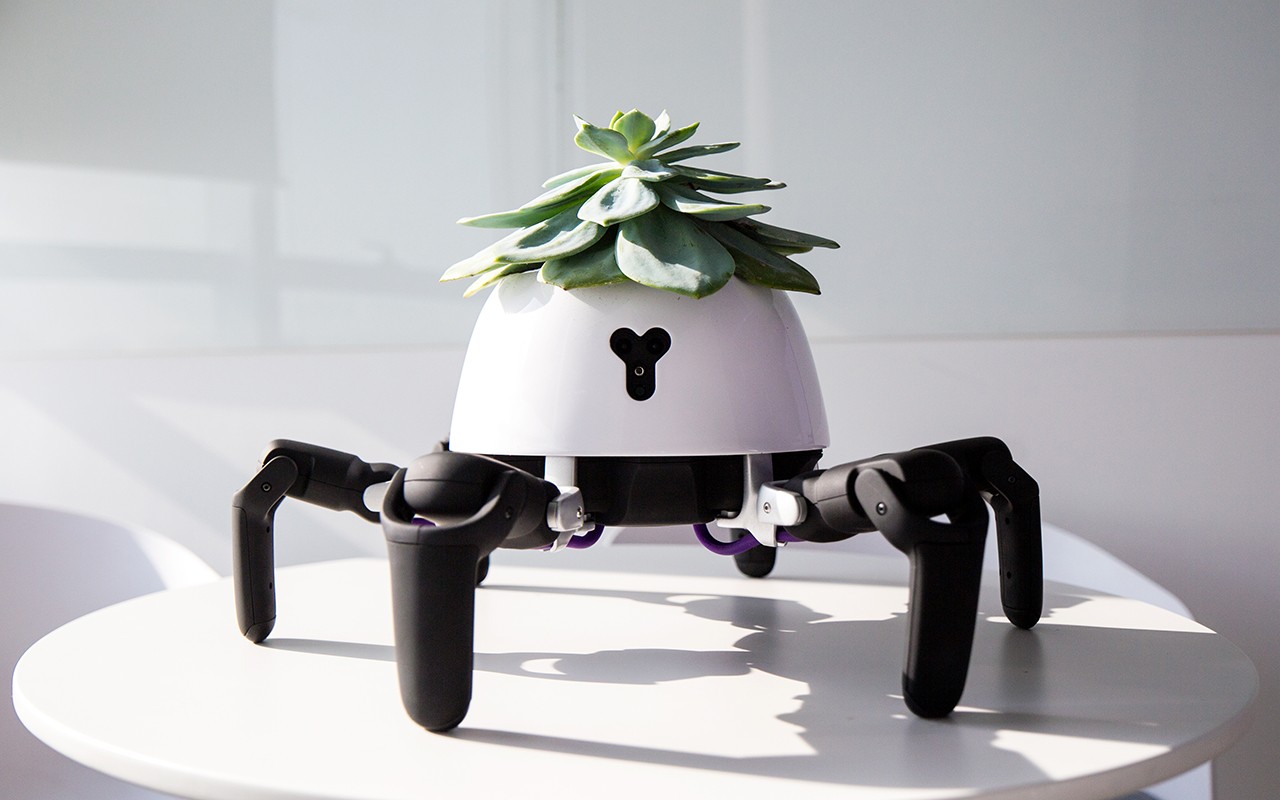 O Hexa é um robô programável - e é excelente para suas plantas (Foto: Divulgação)