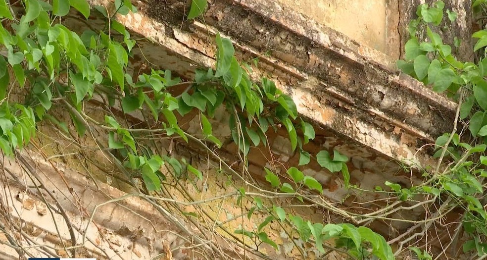 Algumas fachadas estão cobertas pelo mato — Foto: TVCA/Reprodução
