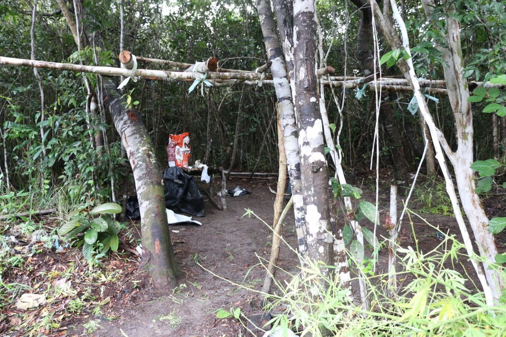 Polícia descobriu meia tonelada de maconha e cultivo foi achado entre plantações de eucaliptos na zorna rural de Esplanada — Foto: Divulgação/SSP-BA
