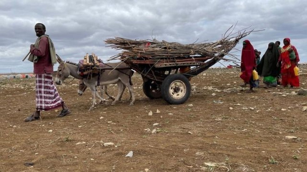 População local está migrando de suas aldeias para Baidoa em busca de recursos e assistência médica — Foto: BBC/Ed Habershon