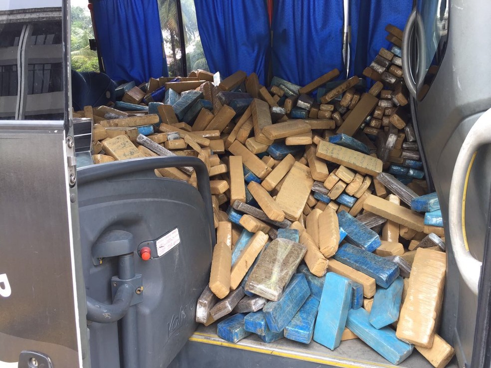 Quatro toneladas de maconha foram apreendidas pela Secretaria de Segurança Pública da Bahia (Foto: Divulgação/SSP-BA)