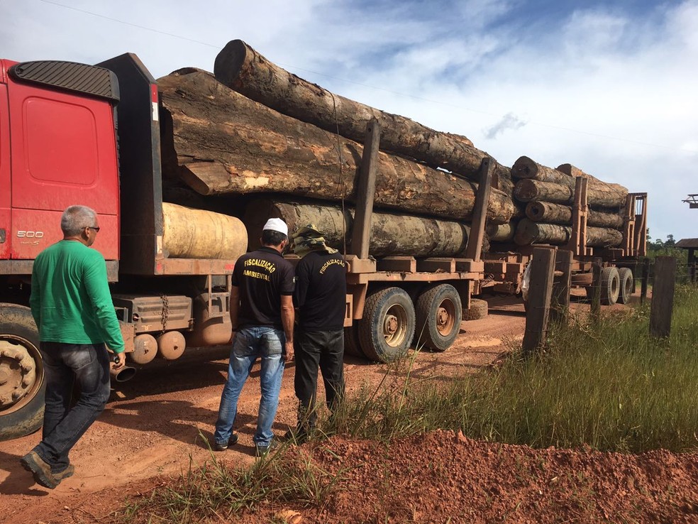 Madeiras em toras foram apreendidas pelos órgãos de controle (Foto: Divulgação/Imap)