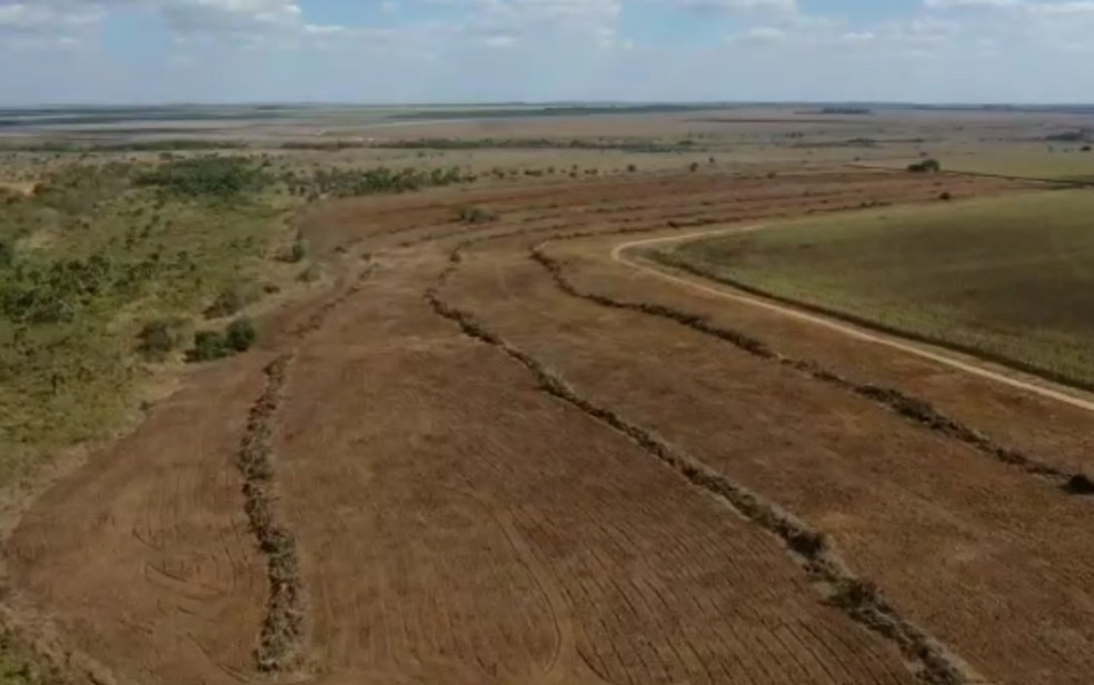 Área desmatada entre Goiás e Mato Grosso equivale a 50 campos de futebol — Foto: Reprodução/TV Anhanguera