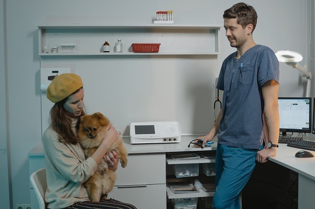 A comunicação entre veterinário e tutor é fundamental para garantir o bom tratamento do paciente (Foto: Pexels/ Tima Miroshnichenko/ CreativeCommons)
