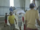 Criadores do Ceará voltam a receber milho do Governo Federal