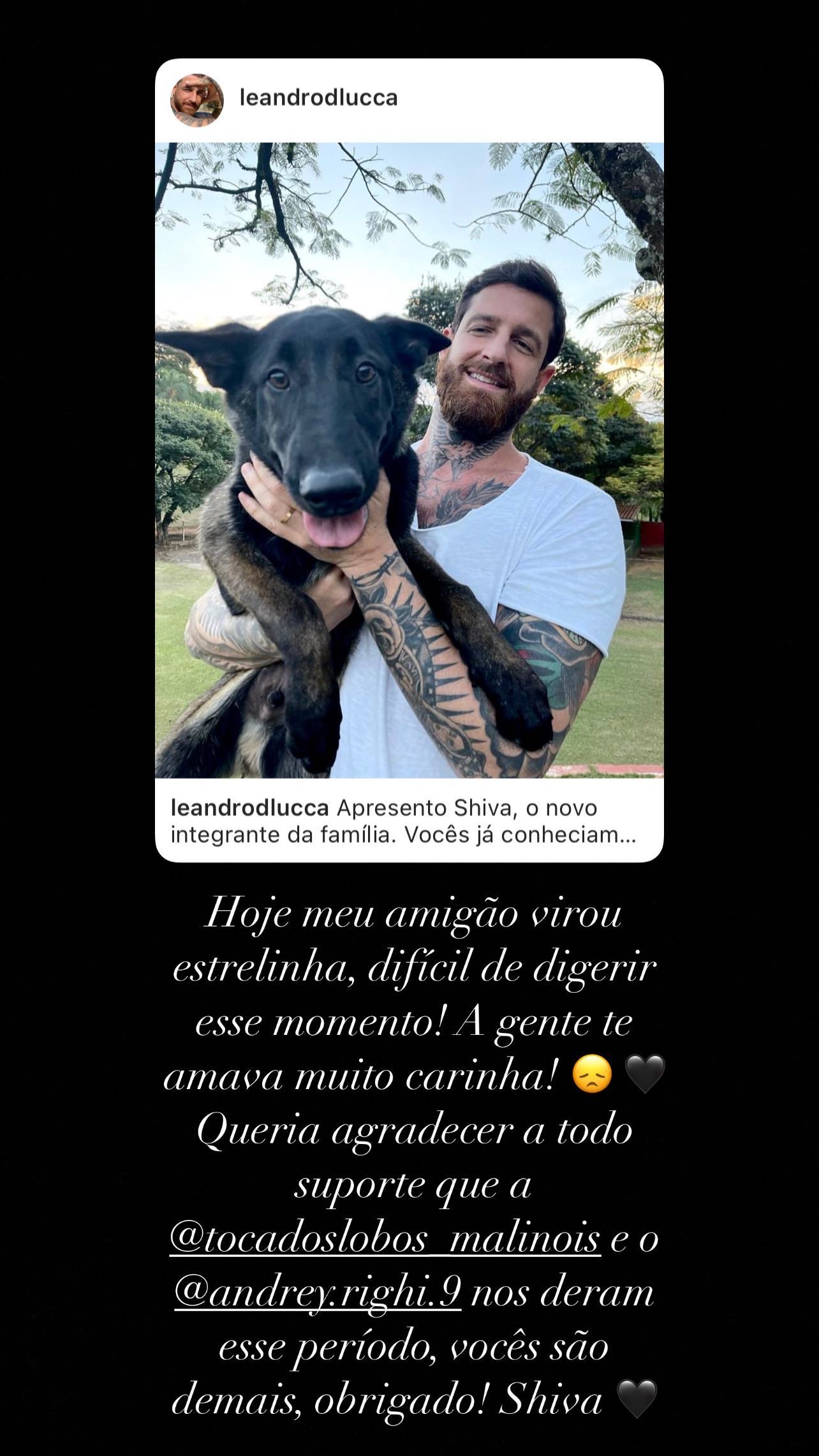 Leandro Dlucca lamenta morte do cachorrinho Shiva (Foto: Reprodução/Instagram)
