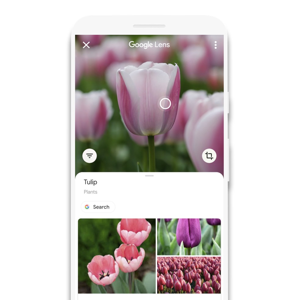 O Que E Google Lens Saiba Como Funciona E Como Usar O Recurso Internet Techtudo