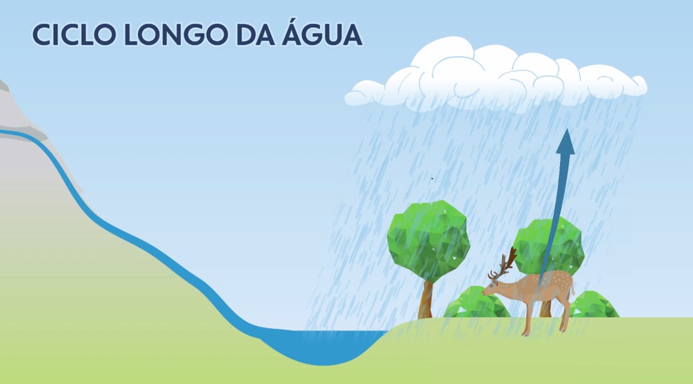 Prepara 2019: entenda o que são os ciclos biogeoquímicos e como ...