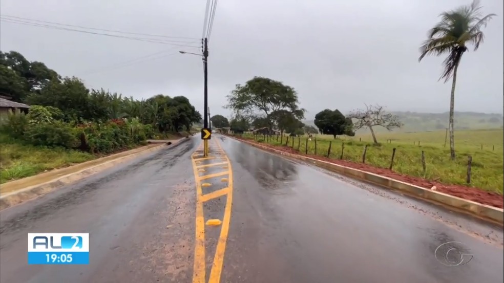 Postes foram instalados no meio de uma rodovia estadual no Agreste de Alagoas. — Foto: Reprodução/TV Gazeta