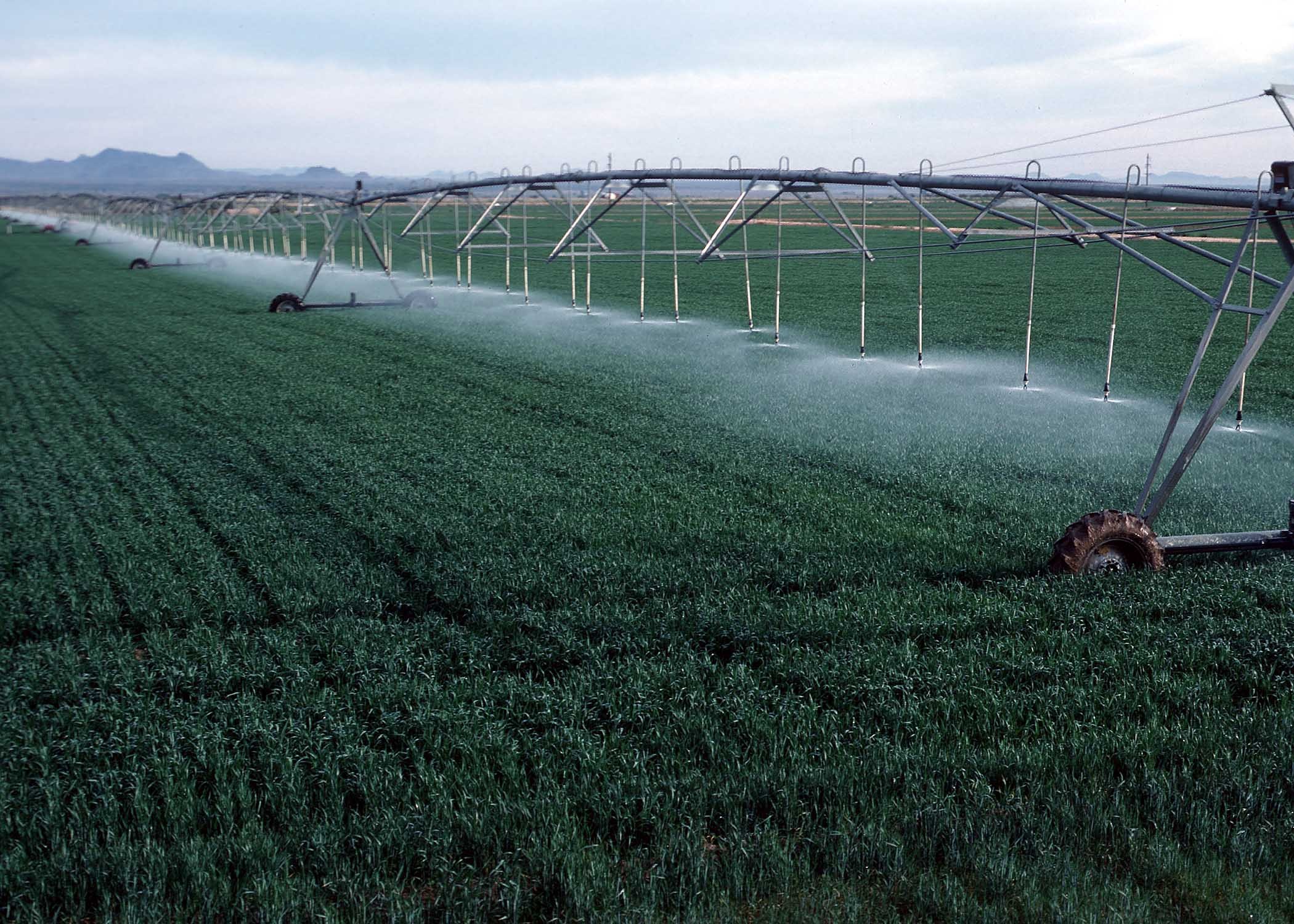 A grande produção de alimentos afetará a distribuição da água (Foto: wikimedia commons)