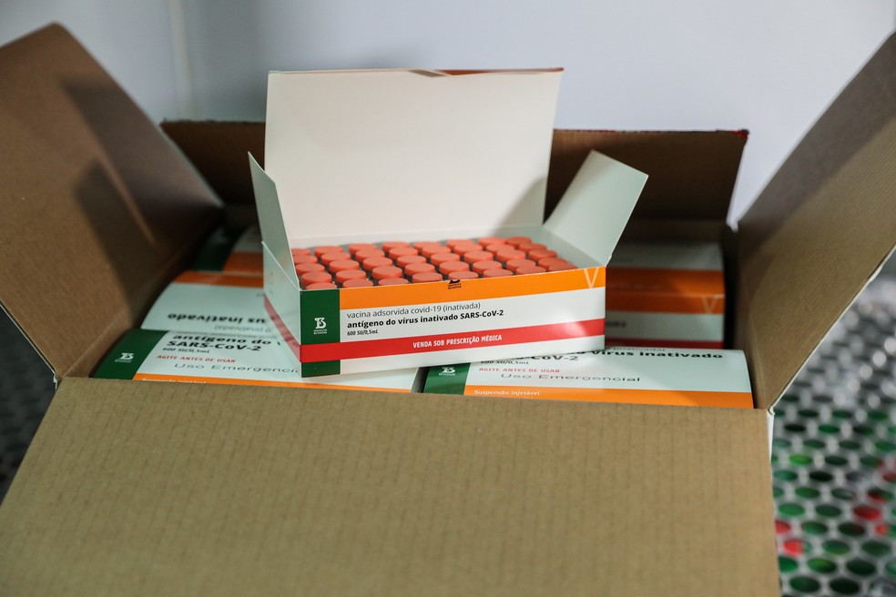 Imunizante do Instituto Butantan ajudará estado avançar na vacinação da população adulta — Foto: Tchélo Figueiredo/Secom-MT