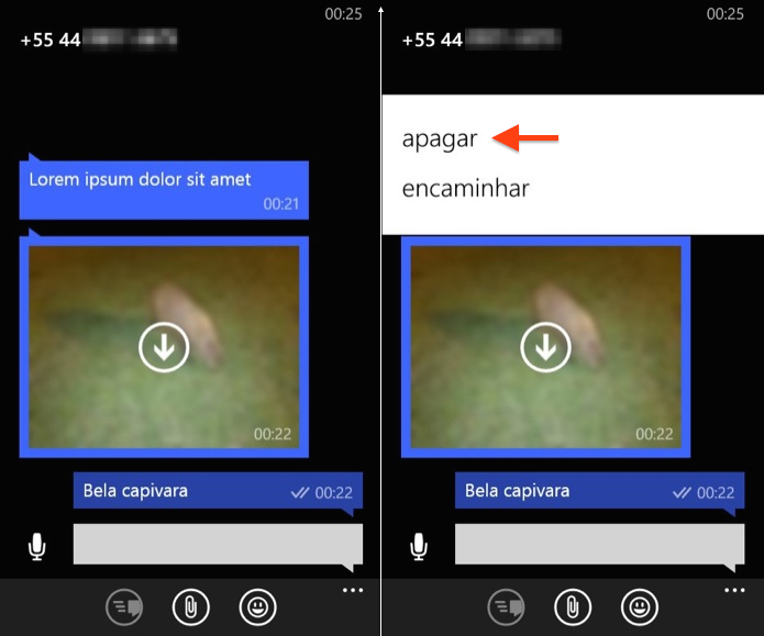 Excluindo mensagem no WhatsApp para Windows Phone (Foto: Reprodução/Helito Bijora)