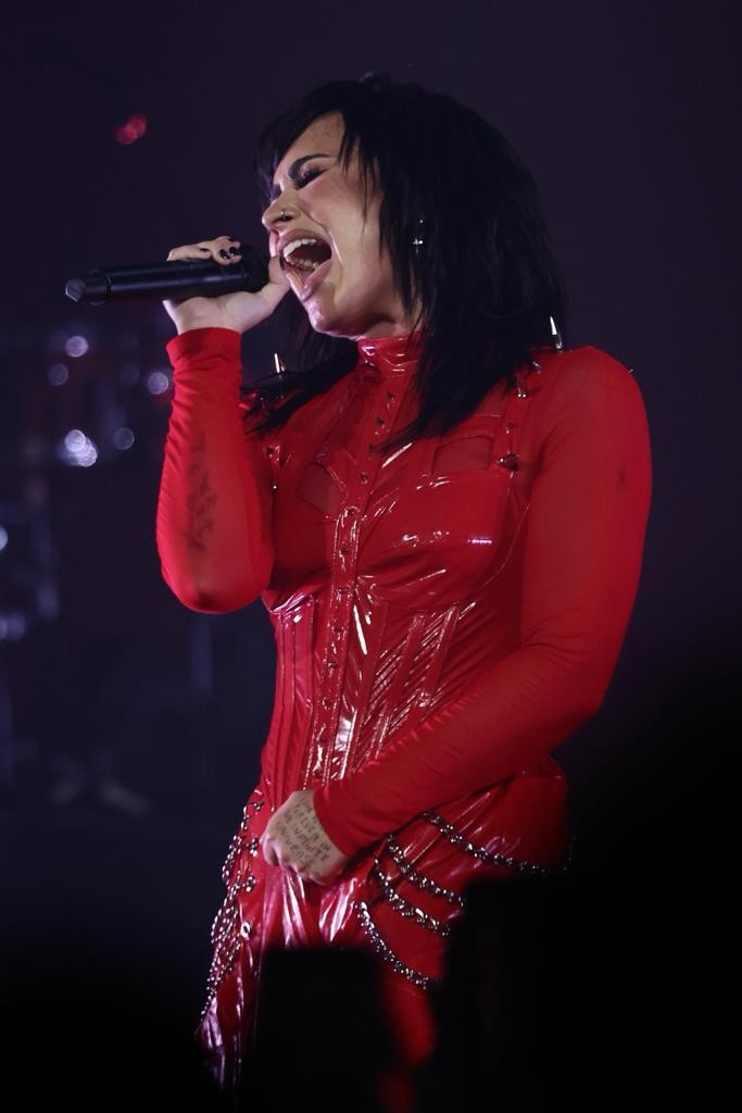 Demi Lovato faz show em São Paulo (Foto: Reprodução/Instagram)