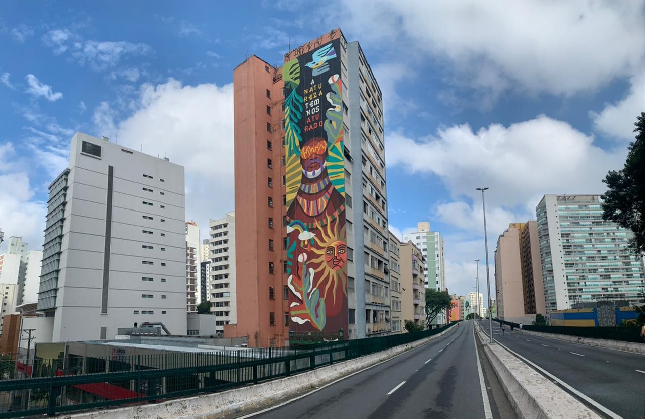 Carlinhos Brown assina obra no Minhocão em parceria com Rogério Pedro (Foto: Divulgação)