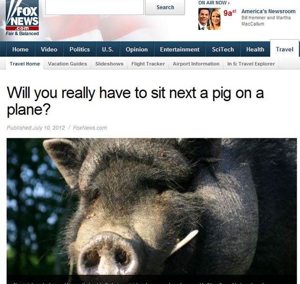 Página da rede de TV americana Fox News informa sobre discussão para liberar animais em aviões comerciais (Foto: Reprodução)