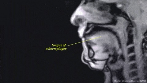 Imagem mostra movimentos da língua ao tocar trompete (Foto: YouTube)