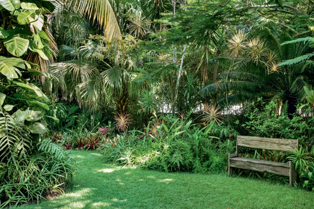 Palmeira-leque, jerivá, bromélias, sagus-de-jardim, dracenas, gardênias, babosas e ipê-amarelo (Foto: Juliano Colodeti / MCA Estúdio / Divulgação)