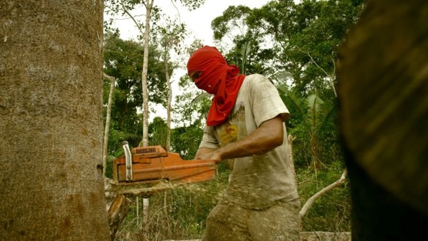 BBC Madeireiro derruba árvore em área protegida nos arredores de Porto Velho; Rondônia já perdeu um terço de sua mata nativa (Foto: BBC News Brasil)