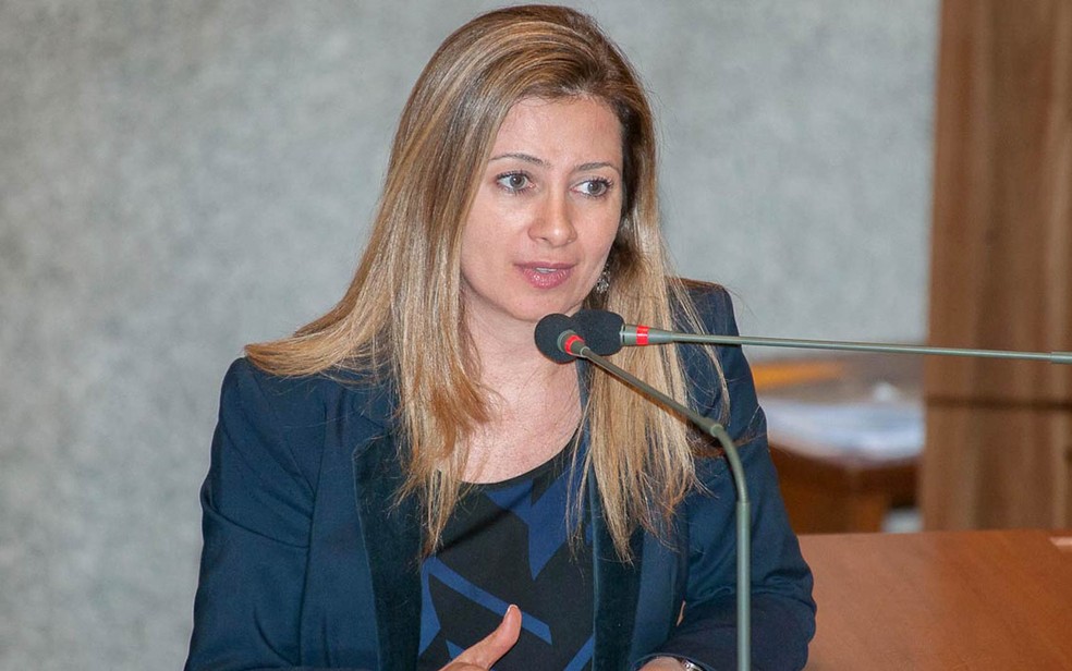 Deputada Sandra Faraj (SD) em sessão (Foto: Carlos Gandra/CLDF)