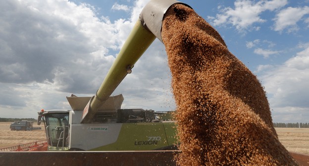 Agricultores da Ucrânia destroem máquinas para barrar confisco de trigo pela Rússia