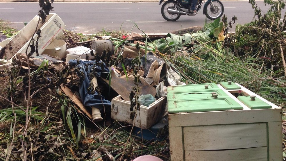 Donos vão ser multados por sujeira em terrenos — Foto: Prefeitura de Sinop-MT/ Assessoria