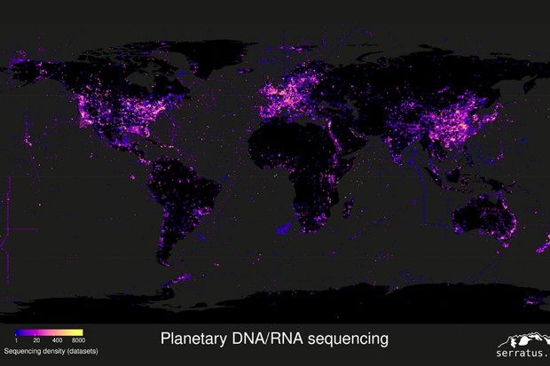 Mapa de dados globais de sequenciamento de RNA que Babaian e sua equipe analisaram para identificar novos vírus de RNA (Foto: Reprodução/Projeto Serratus)