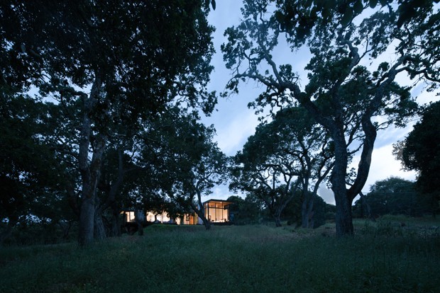 Casa contemporânea para viver em meio à floresta (Foto: John Merkl e Steve Goldband/Divulgação)
