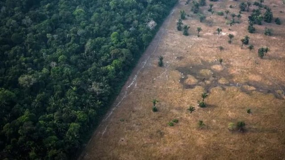 Taxa de desmatamento na Amazônia subiu nos últimos três anos. — Foto: Getty Images via BBC