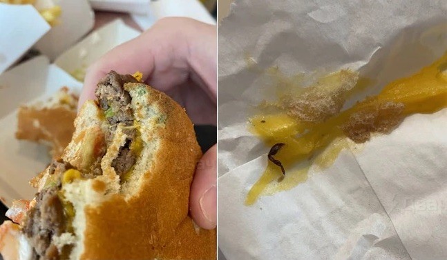 Images of moldy bread and insect paws in snacks were posted on Twitter (Photo: Playback/Twitter)