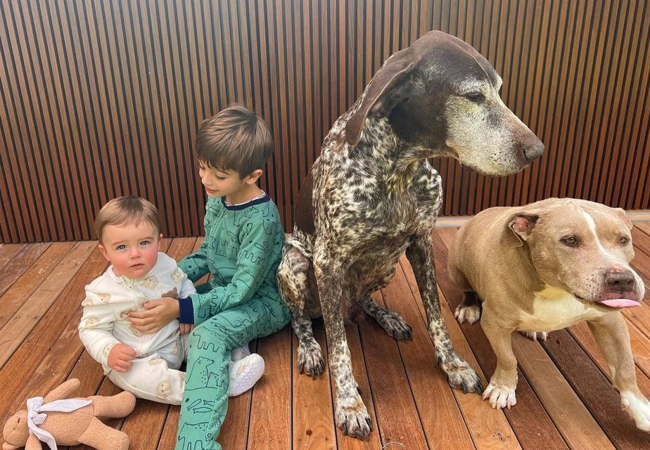 Leon e Rocco, filhos de Rafa Brites e Felipe Andreoli, ao lado dos dois cachorros