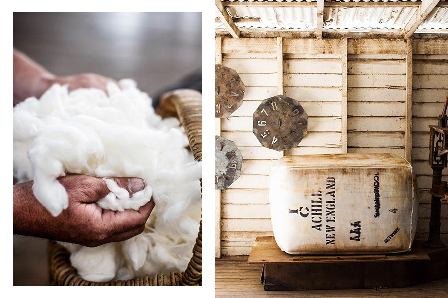As ovelhas Merino tiveram sua origem em Portugal, mas é na Austrália onde a lã da mais alta qualidade é produzida (Foto: divulgação)