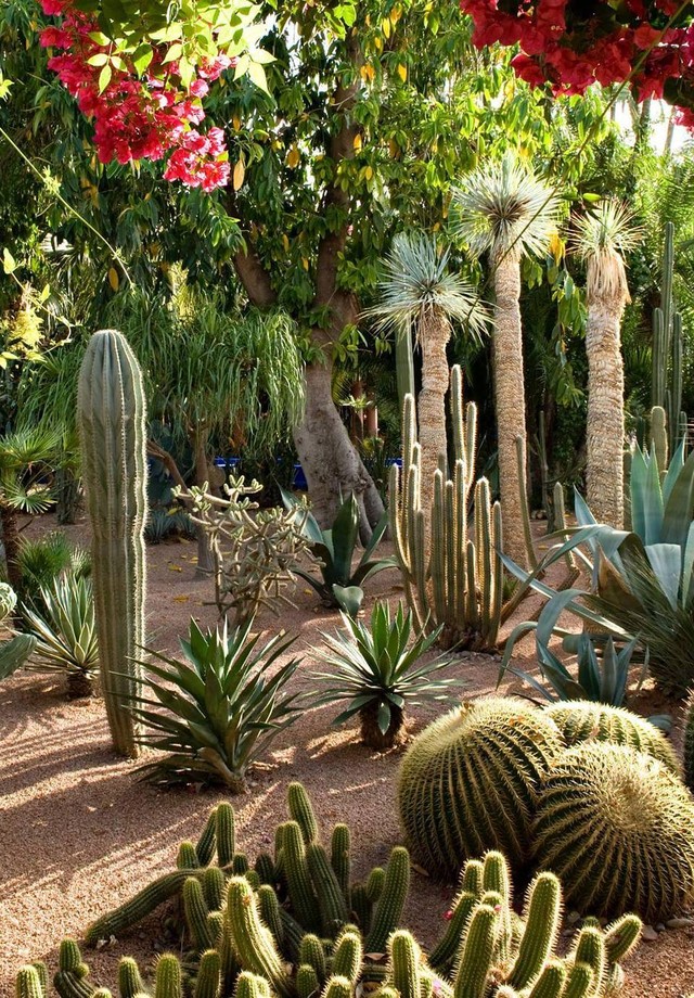 Moda atemporal: o jardim Marjoelle, criado por Yves Sain Laurent, e um dos principais pontos turísticos de Marrakech, Marrocos  (Foto: reprodução / Instagram)