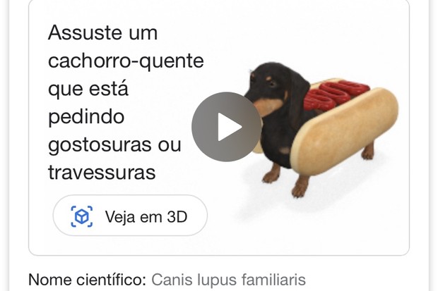 Google lança recurso que leva animais 3D para dentro de casa