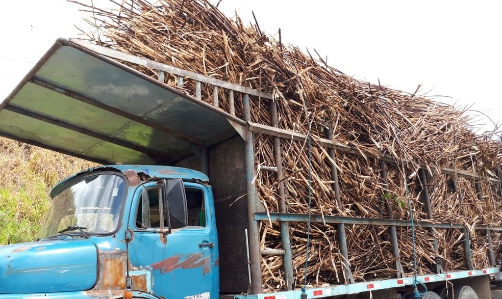 Dez caminhÃµes que transportam cana-de-aÃ§Ãºcar foram autuados em RibeirÃ£o, na Zona da Mata de Pernambuco â€” Foto: PolÃ­cia RodoviÃ¡ria Federal/DivulgaÃ§Ã£o