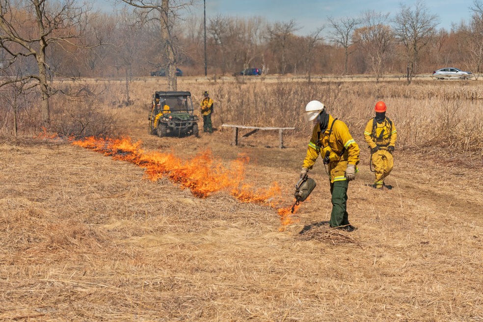 Emergência por queimadas ambientais — Foto: Secom MT