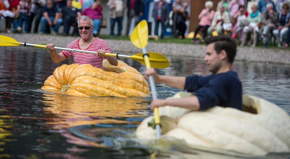 Alemanha tem torneio de remo em abóboras gigantes (Foto: Jens-Ulrich Koch/dpa via AP)