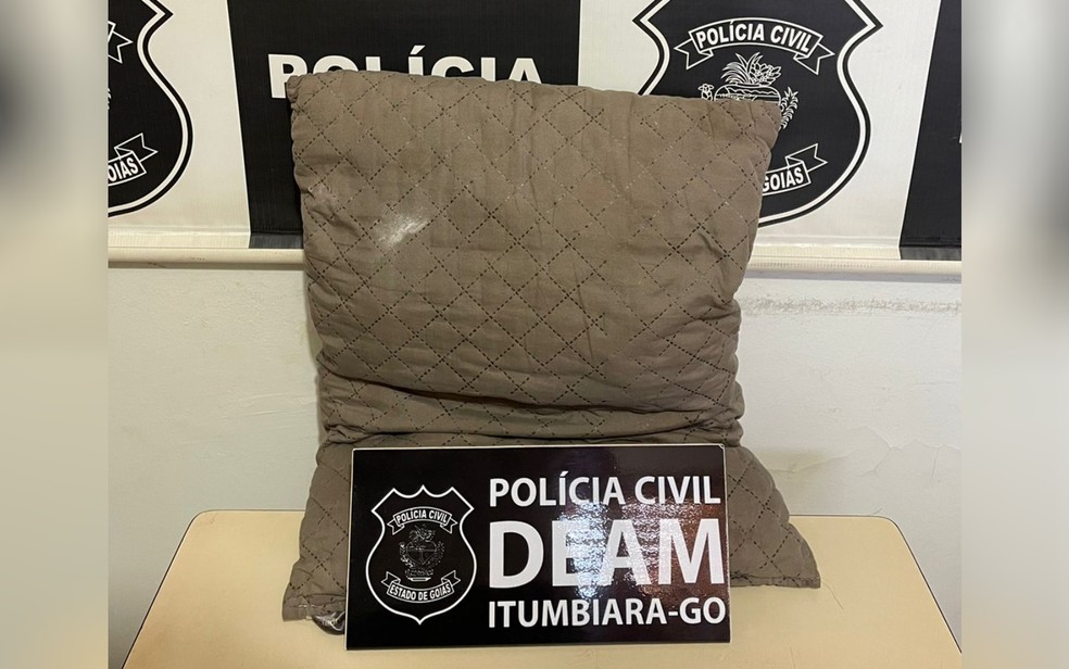 Travesseiro usado por filho para tentar matar a mãe em Itumbiara — Foto: Polícia Civil/Divulgação