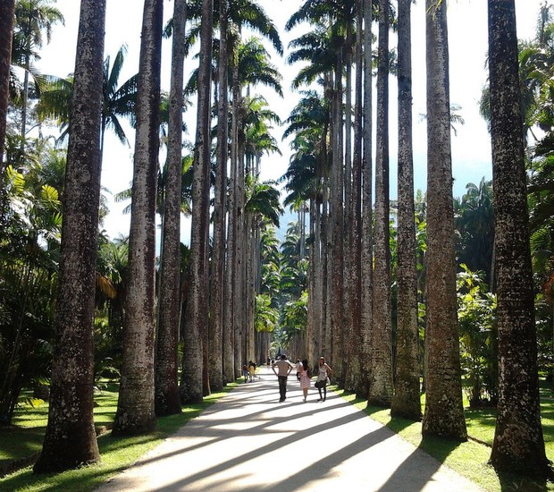 No Instagram, o jardim é um dos mais postados (Foto: WikiMedia / Feliven / Creative Commons)