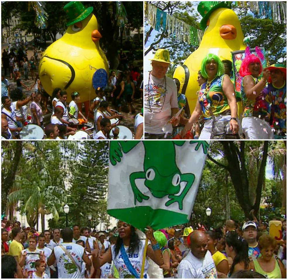 Tradicionais blocos de carnaval animam foliões em Pirassununga — Foto: Ely Venâncio/EPTV