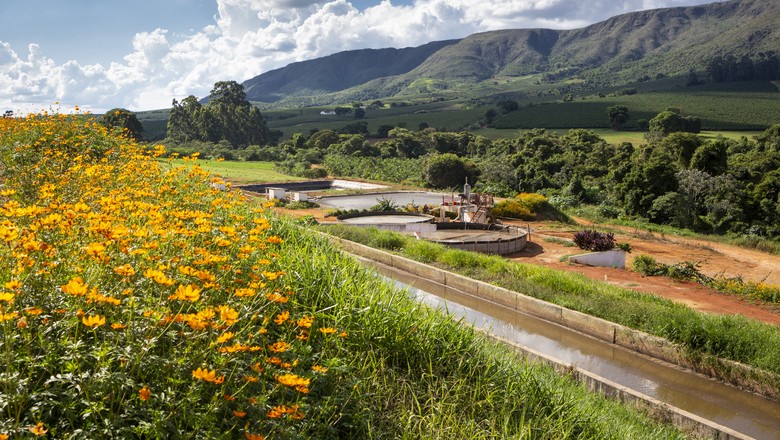 campo-interior-fazenda-rural-propriedade-terra-agro-agricultura (Foto: Fernando Martinho)