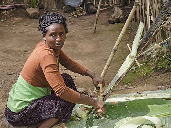 Conheça a ensete, a falsa banana que consegue vencer a fome na Etiópia - ÉPOCA | Viajologia